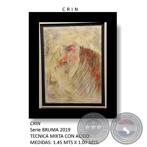 CRIN - Serie BRUMA de Dario Cardona - Año 2019